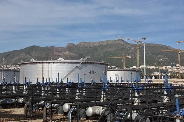 تدرس «سوناطراك» جدوى سلسلة قيمة الهيدروجين الأخضر من الجزائر إلى الاتحاد الأوروبي (موقع الشركة)