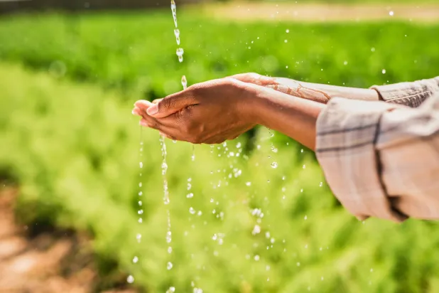 أكثر من ملياري شخص حول العالم يفتقرون لمياه شرب نظيفة (جامعة ولاية أوهايو)