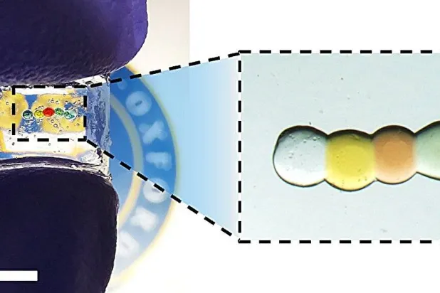 نسخة مُكبرة من البطارية (جامعة أكسفورد)