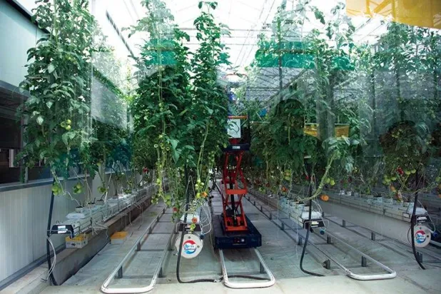 وحدة العمل الاستراتيجية للمغذيات الزراعية التابعة لـ«سابك» (موقع الشركة)