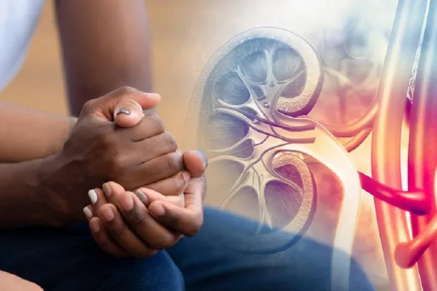 مرض الكلى المزمن قد يؤدي إلى الفشل الكلوي (جامعة ماريلاند)