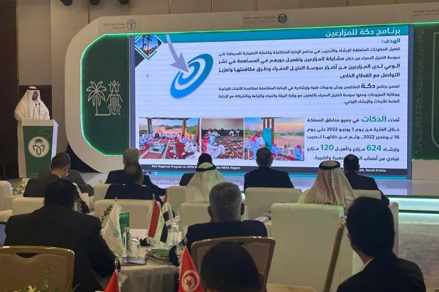 شهد «اجتماع جدة» كثيراً من الجلسات لبحث آفة النخيل وكيفية مواجهتها (الشرق الأوسط)