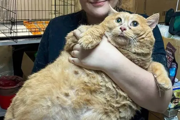 شكَّل رمزاً للأمل (مواقع التواصل)