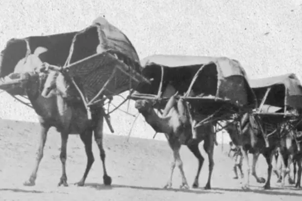 تبحث الندوة في جلسات علمية ليومين أثر التنقل في حياة المجتمعات عبر العصور (قمة العلا)