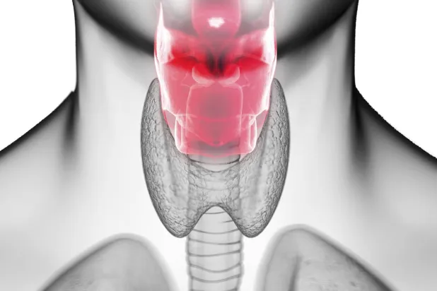 هل سبق لك أن سمعت عن حصوات اللوزتين؟