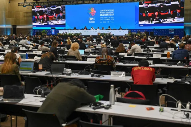 الجلسة الختامية لمؤتمر «كوب 16» في كالي الكولومبية (أ.ف.ب)