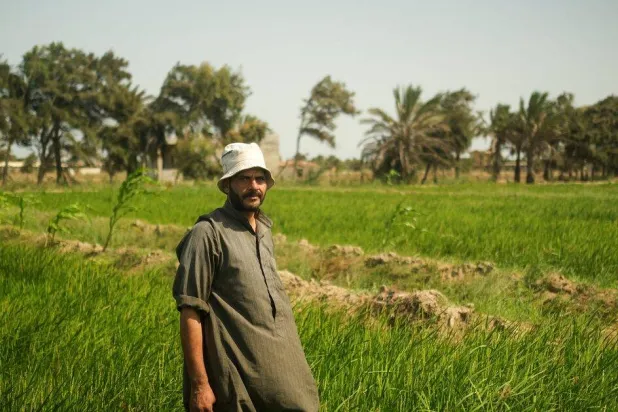 الأراضي الزراعية في دلتا النيل بمصر تكتسب ملوحة بسبب ارتفاع درجات الحرارة (رويترز)