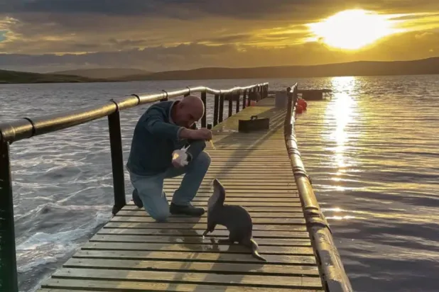 الحب ليس بشرياً فقط (ناشيونال جيوغرافيك)