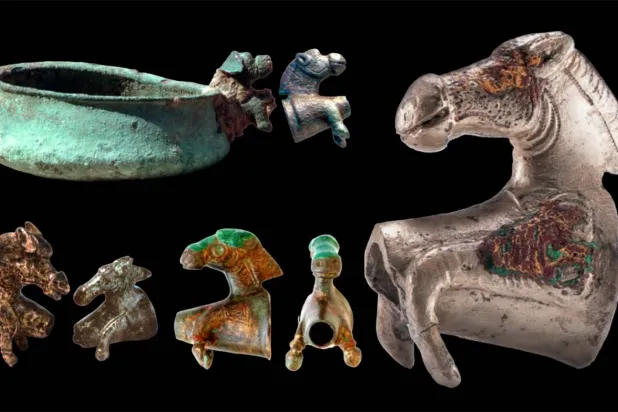 حصان من الشارقة يقابله حصان من أم القيوين وثلاثة أحصنة من سلطنة عُمان