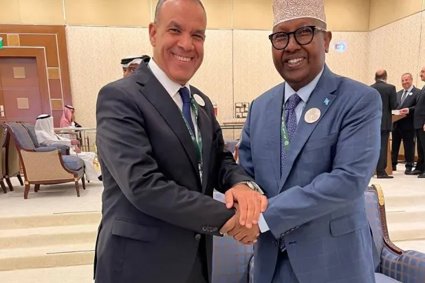 وزير الخارجية المصري بدر عبد العاطي يلتقي نظيره الصومالي في الرياض (الخارجية المصرية)