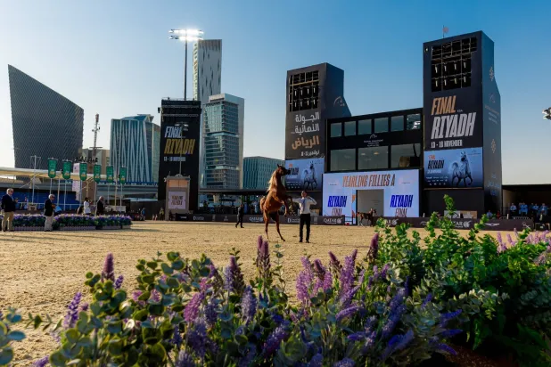 فالح النصر قال إن الجولة كانت بمثابة احتفال بالجمال المهيب للخيول العربية وتراثها الغني (الشرق الأوسط)