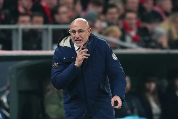 لويس دي لافوينتي المدير الفني للمنتخب الإسباني لكرة القدم (د.ب.أ)