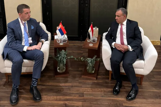 بدر عبد العاطي خلال محادثات مع وزير خارجية صربيا في الإمارات  (الخارجية المصرية)