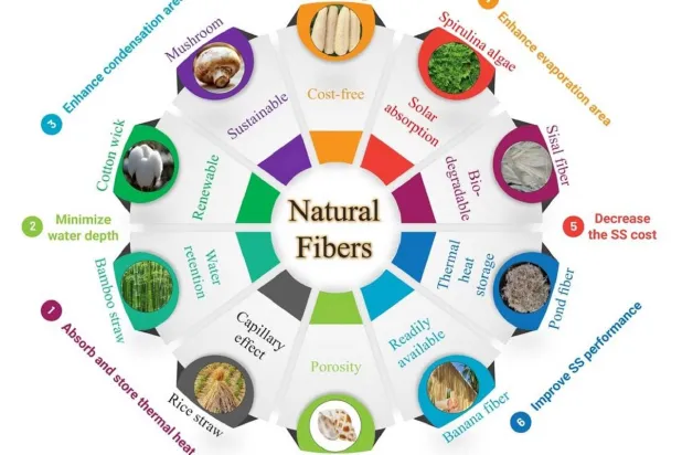 الألياف الطبيعية المستخلصة من مصادر نباتية وحيوانية تُعتبر بديلاً منخفض التكلفة وقابلًا للتحلل الحيوي (الدكتور محمد عجيزة)