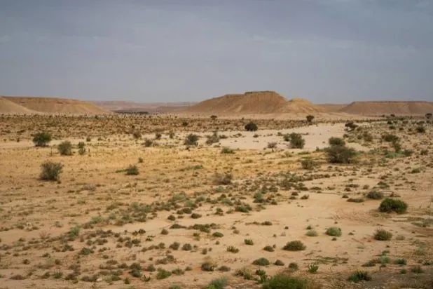 قام أفراد المجتمع بزراعة أكثر من مليون شجيرة في متنزه ثادق السعودي لإصلاح الأراضي المتدهورة ومعالجة التصحر (برنامج الأمم المتحدة للبيئة)