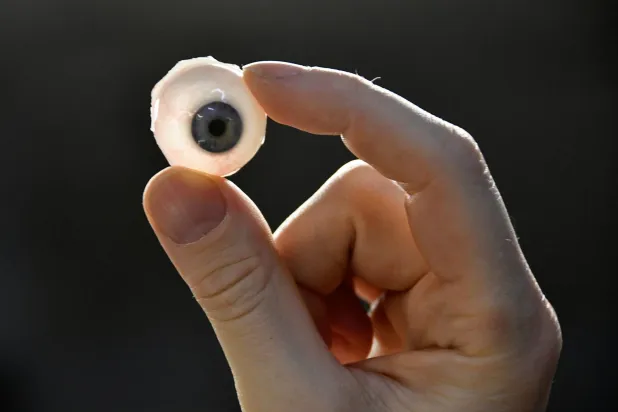 بهدف تكوين صورة بصرية ذات معنى لمشهد ما تقوم أعيننا بسلسلة من الحركات السريعة المنسقة (رويترز)