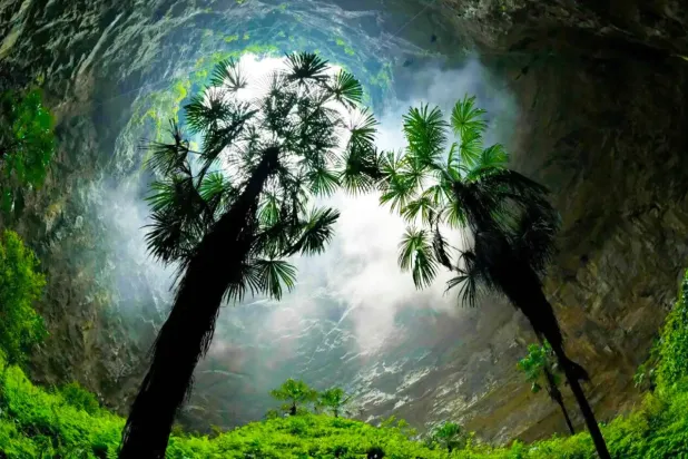 اكتشاف عالم الغابات القديمة داخل حفرة على عمق 630 قدماً في الصين (يونيلاد نيوز)