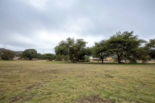 إحدى المناطق الخضراء في السعودية (الشرق الأوسط)