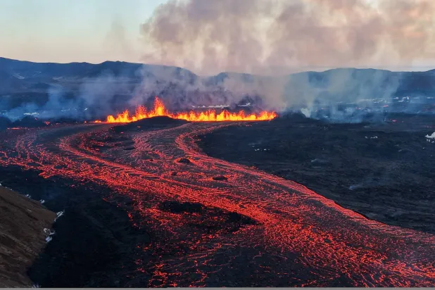 هل تتنبأ الحيوانات بالكوارث الطبيعية؟ قمر اصطناعي يراقب سلوكها لتقديم إنذار مبكر