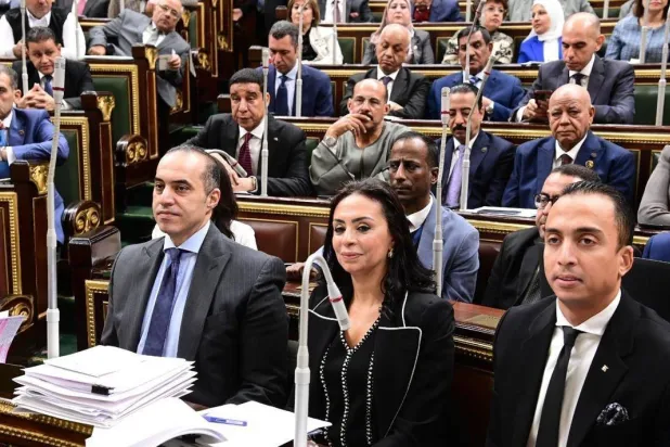 مجلس النواب المصري خلال مناقشة قانون الضمان الاجتماعي الجديد (وزارة الشؤون النيابية)