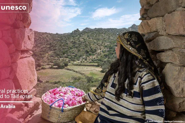 تسجيل «الورد الطائفي» لدى اليونيسكو يعكس قيمته بعدّه أحد عناصر الثقافة السعودية (الشرق الأوسط)