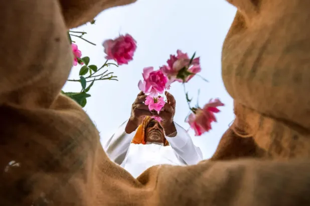 The move reflects Saudi Arabia's commitment to preserving intangible cultural heritage, ensuring its sustainability, and passing it on to future generations - SPA