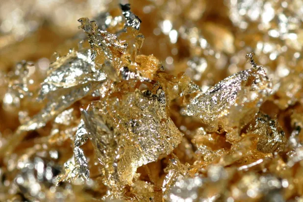 FILE PHOTO: Flakes of gold leaf are pictured in Tokyo April 4, 2008. REUTERS/Michael Caronna/File Photo