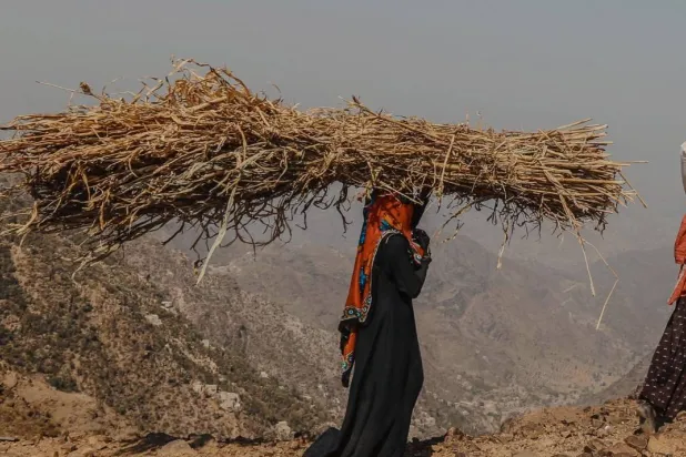 برامج البنك الدولي تساهم في التوعية بمخاطر التغير المناخي في اليمن (البنك الدولي)