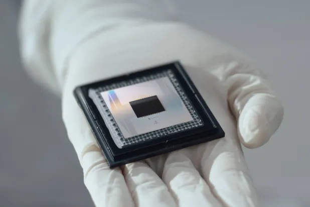 الشريحة الجديدة «ويلّوو» (أ.ف.ب)