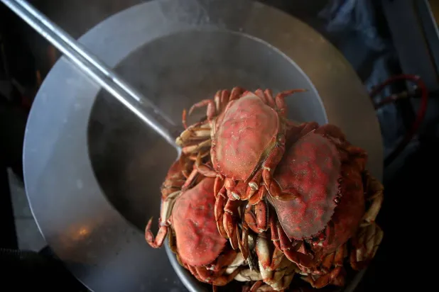 تشعر فعلاً بالألم (غيتي)