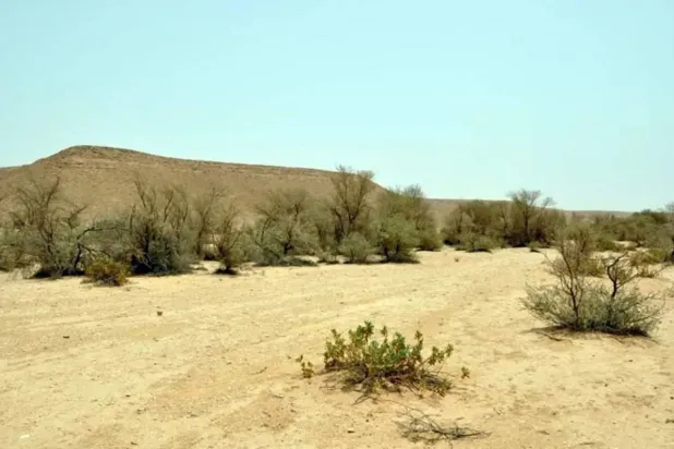 حذّر البنك الدولي من أن موجات الجفاف قد تطول نحو نصف سكان العالم في عام 2050 (واس)