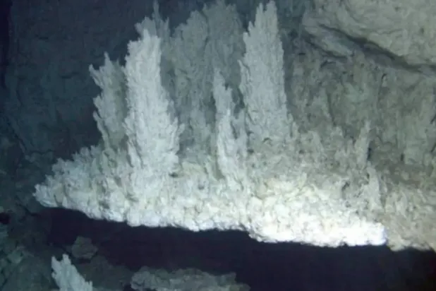 Deep sea has fascinated people since time immemorial (Amaze Lab)