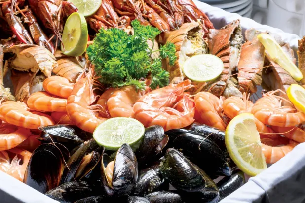 6 مأكولات بحرية... قيمتها الغذائية وفوائدها الصحية