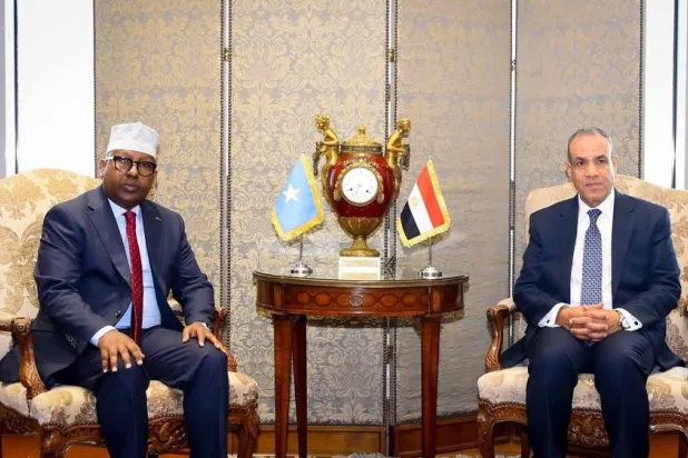 وزير الخارجية المصري بدر عبد العاطي يلتقي نظيره الصومالي أحمد معلم فقي بالقاهرة (الخارجية المصرية)