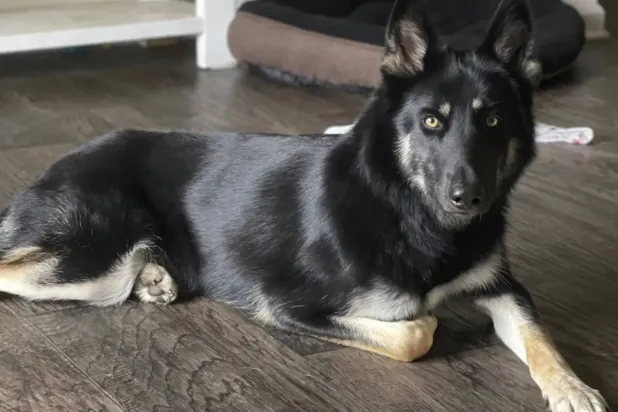 الوفاء... (أ.ب)