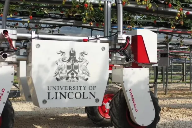 الروبوتات يمكن أن تسهم في تحسين جودة الأغذية والمنتجات الزراعية (جامعة لينكولن)