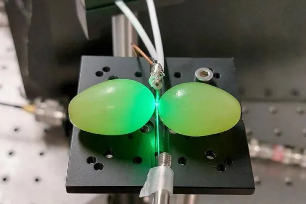 Üzümlerin büyük ölçüde sudan oluşması yeni teknolojilerin önünü açabilir (Fawaz, Nair, Volz)