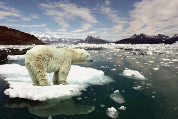 5 قضايا مناخية رئيسة أمام المحاكم عام 2025