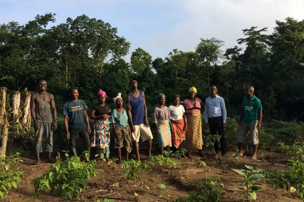 دراسة تؤكد زيادة النشاط الاقتصادي في المناطق القريبة من مزارع الأشجار بأفريقيا (رويترز)