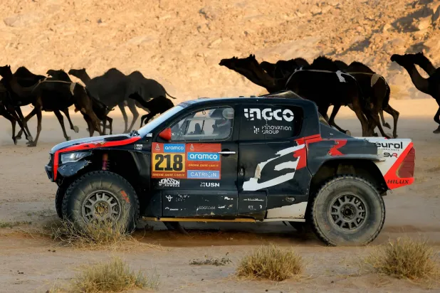 الجمال حاضرة في رالي داكار فيما سائق تويوتا يمر مسرعاً (رويترز)