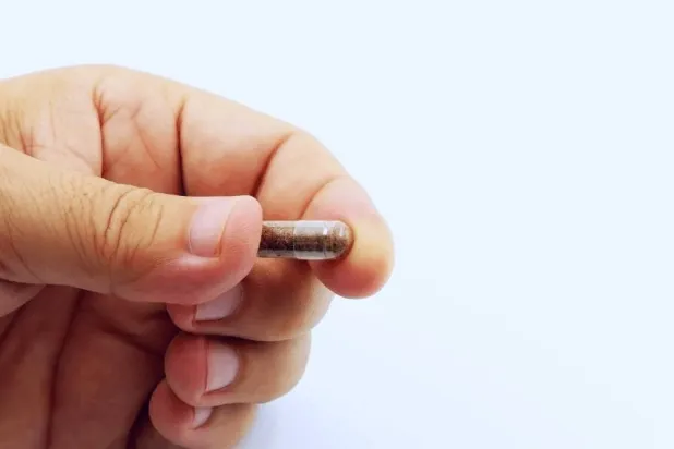 الكبسولات تحتوي على عينة من ميكروبات الأمعاء المفيدة (جامعة كوبنهاغن)