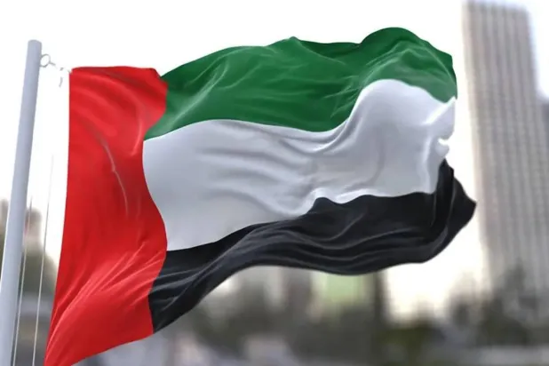 The UAE flag