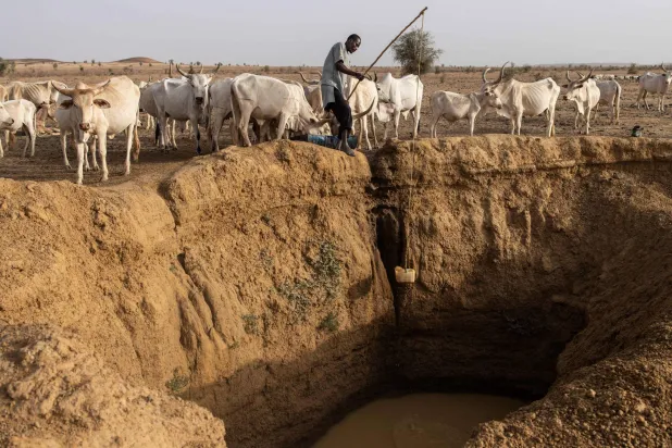 آثار الجفاف في جنوب كاليفورنيا يوليو الماضي (أ.ف.ب)