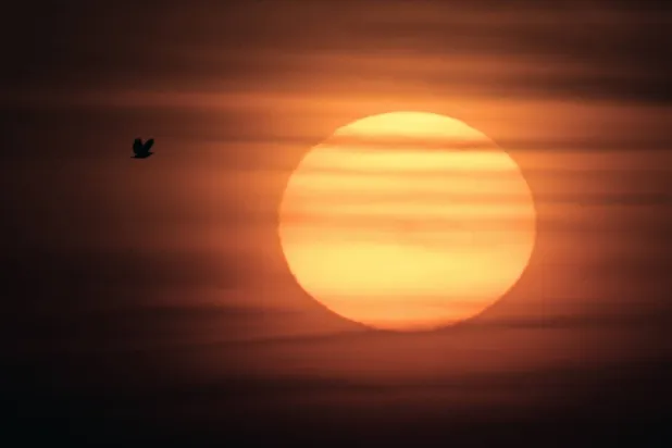 سماع الصوت الصادر عن الشمس (أ.ف.ب)