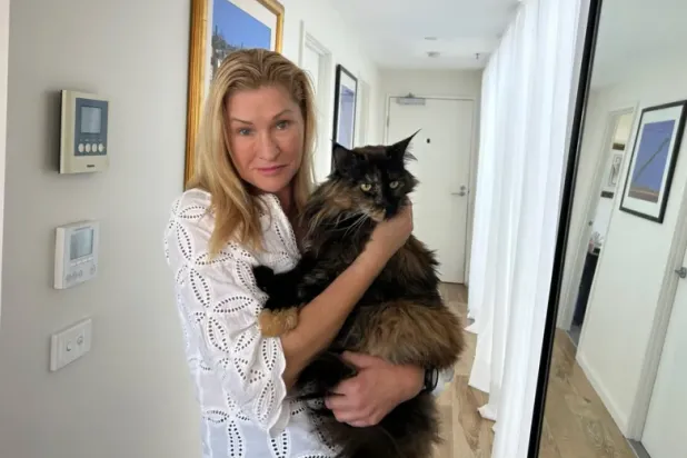 القطة «ميتينز» البالغة من العمر ثماني سنوات كان من المفترض أن تسافر من كرايستشيرش إلى ملبورن (أ.ب)
