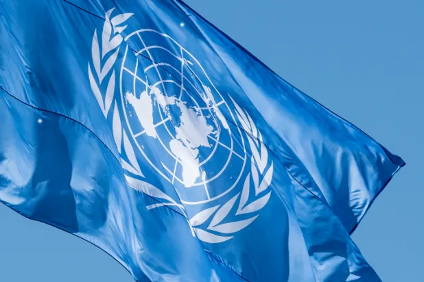 علم المنظمة الدولية (متداولة)