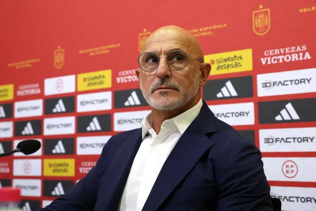 لويس دي لا فوينتي (رويترز)