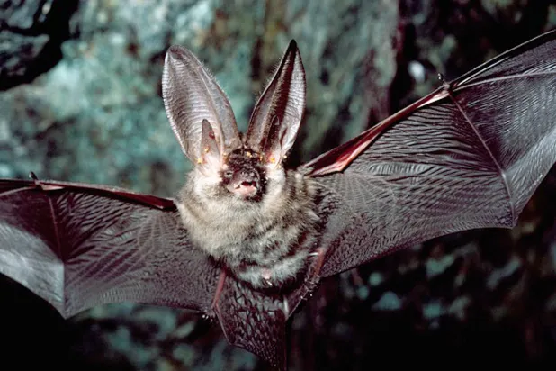 الوحدة تكتُب نهايتها (غيتي)