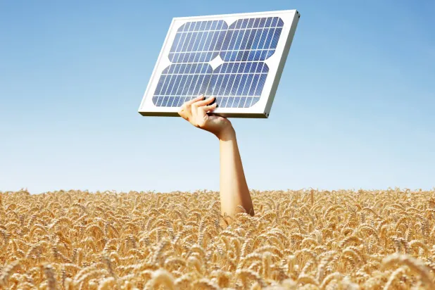 ألواح شمسية رأسية... لحقول كروم العنب