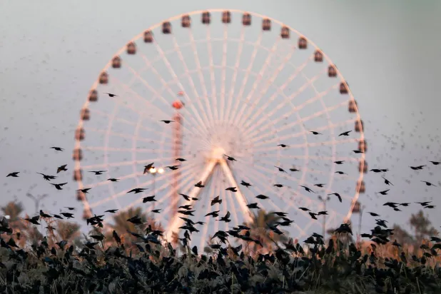 قوى التحالف الشيعي الحاكم في العراق تخوض مفاوضات لإبرام صفقة سياسية صعبة (أ.ف.ب)